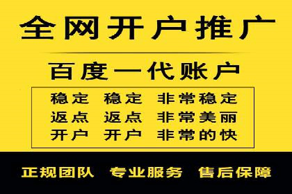 SEM推广策略如何制定——以某电商平台的成功案例为例